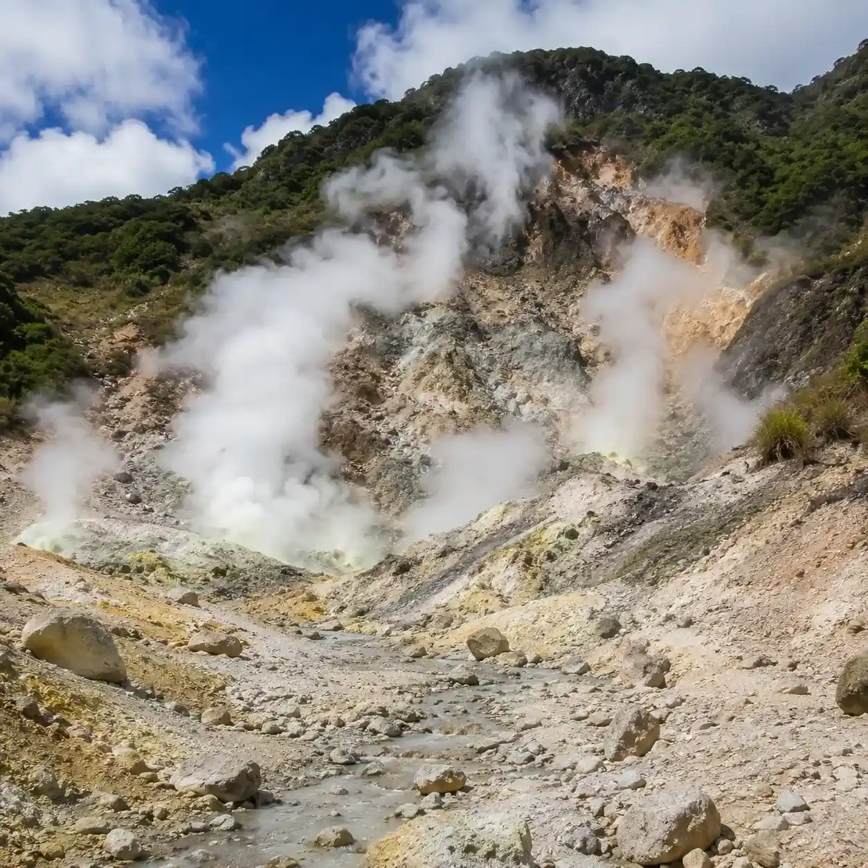 Passionate About Creating Dominica Adventures