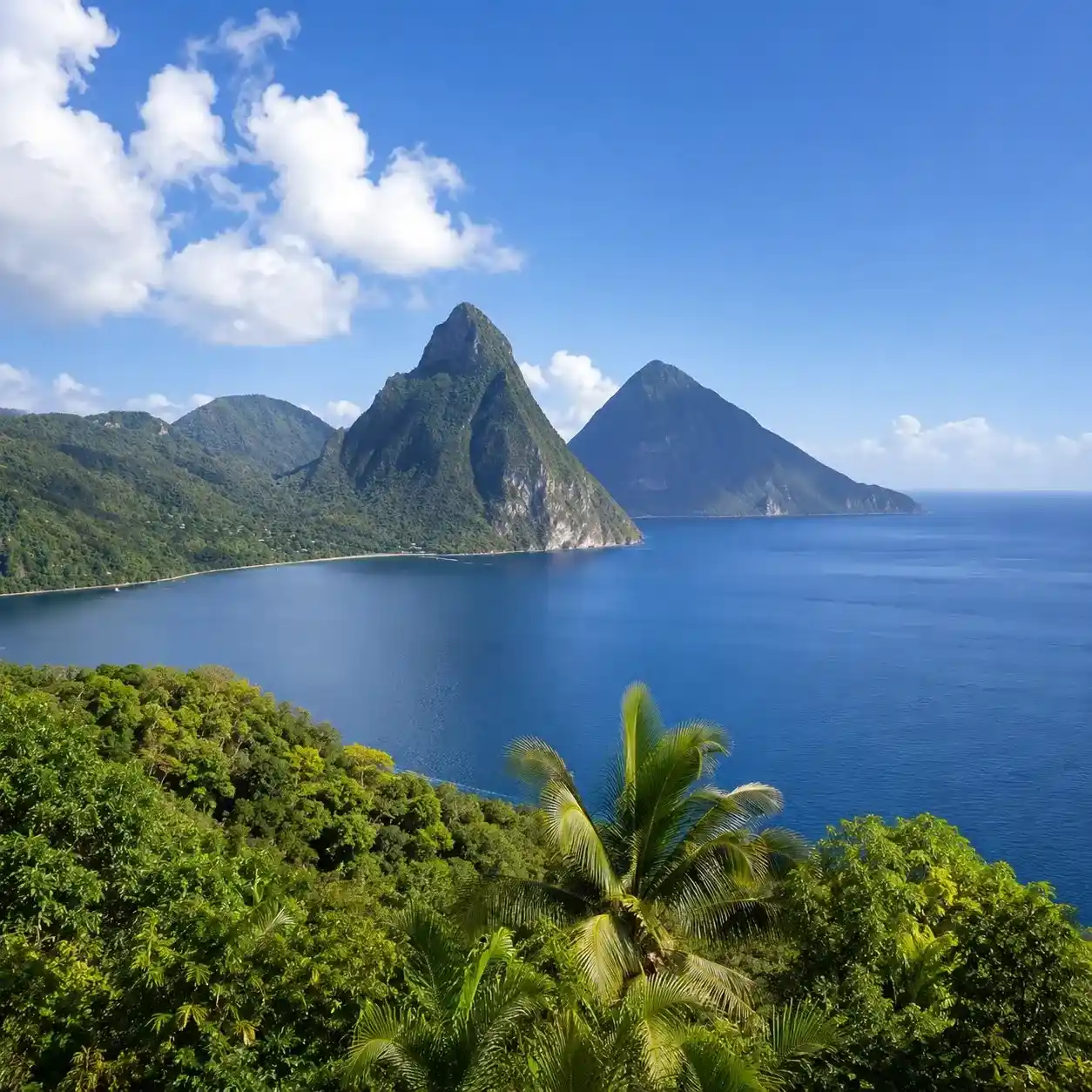 Dominica Rainforest Excursions